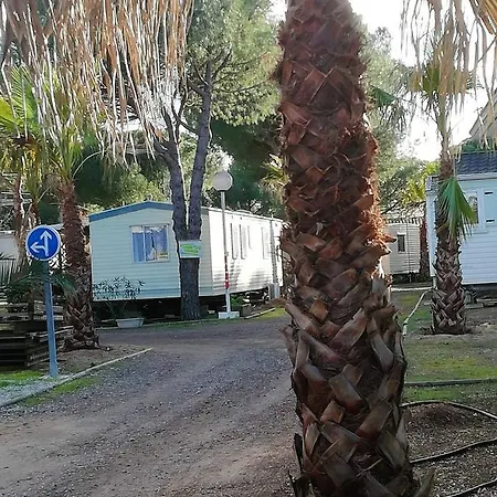 Propriete De 2 Chambres Avec Vue Sur Le Lac Piscine Partagee Et Jardin Amenage A Cap D'agde A 1 Km De La Plage